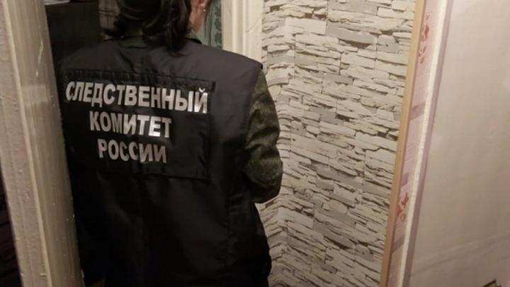Пожилого мужчину забили молотком в Подмосковье
