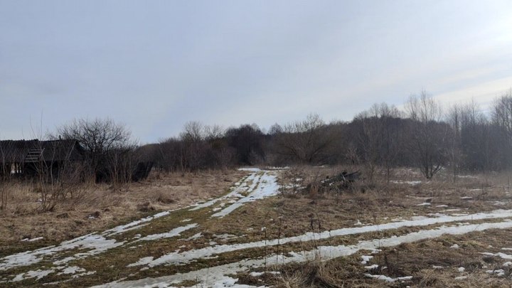 Британский почерк в брянских лесах: Военкор озвучил неприглядную правду о прорвавшейся ДРГ