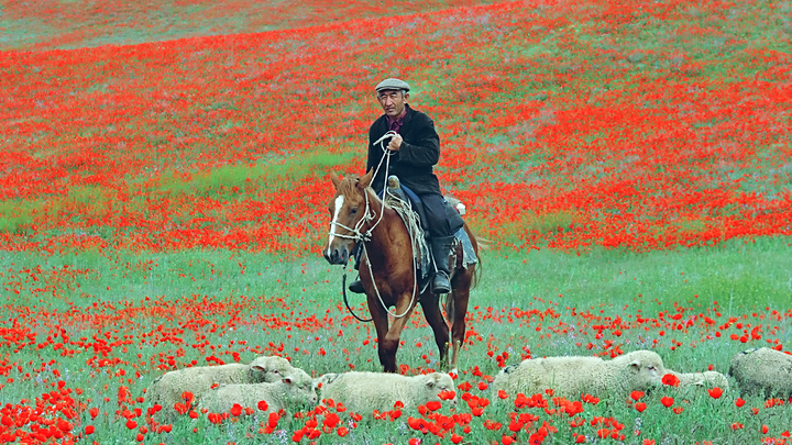 Казахстан готовится отметить Наурыз