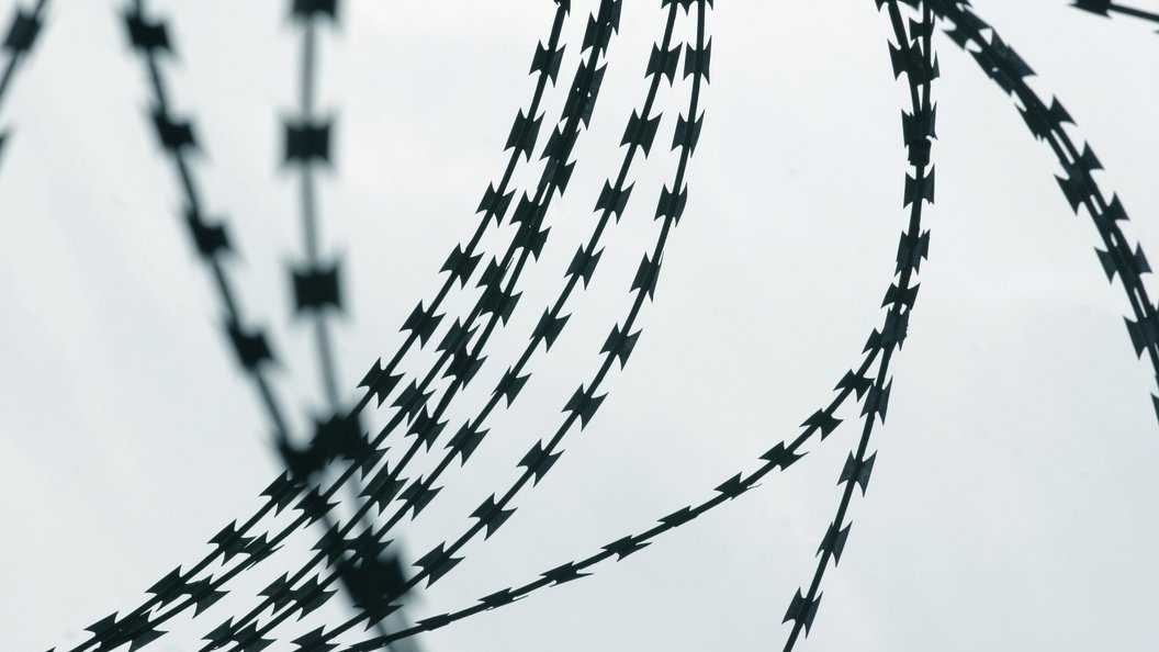 Wire video