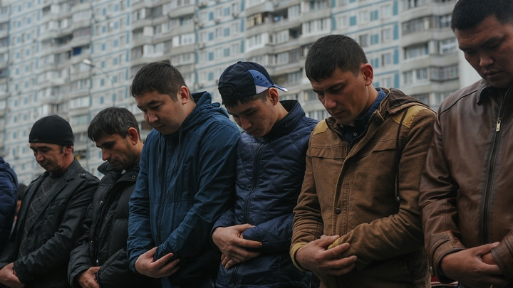 Мигранты - это угроза. Ответ Титову в 18 пунктах