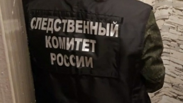 СМИ сообщили о человеке, который последним видел живым Сарапульцева