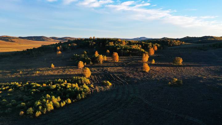 Обнародовано одно из последних видео убитой Болдуином женщины