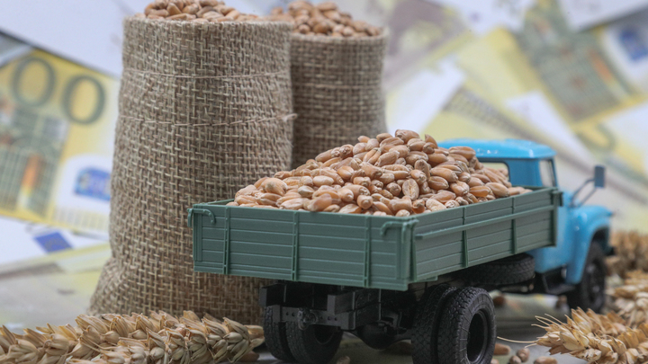 Россия оказалась в ловушке: Выйти из зерновой сделки будет непросто