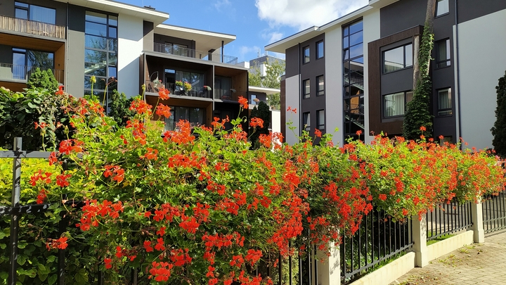 Риелтор рассказала, каким объявлениям о продаже квартир за границей нельзя верить