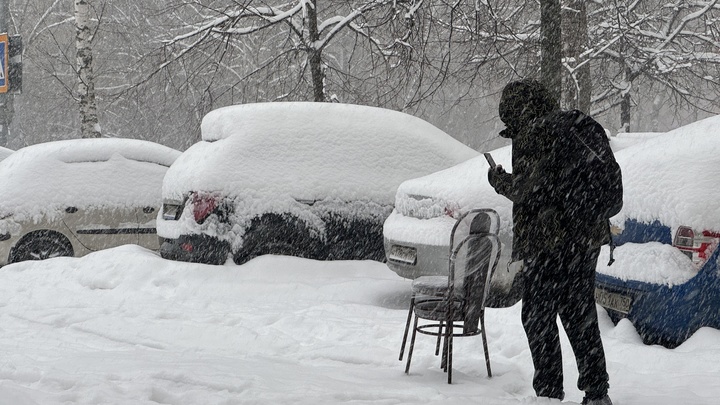 Госдума приняла в первом чтении закон о запрете треш-стримов