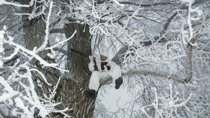 Собаки не бросают хозяев: пропавший вслед за Усольцевыми охотник стал новой тайной Красноярского края