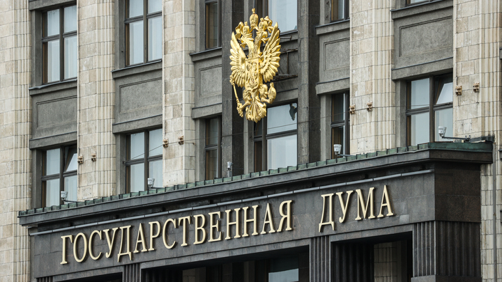 Госдума рассмотрит президентскую инициативу лишать гражданства за совершение преступлений