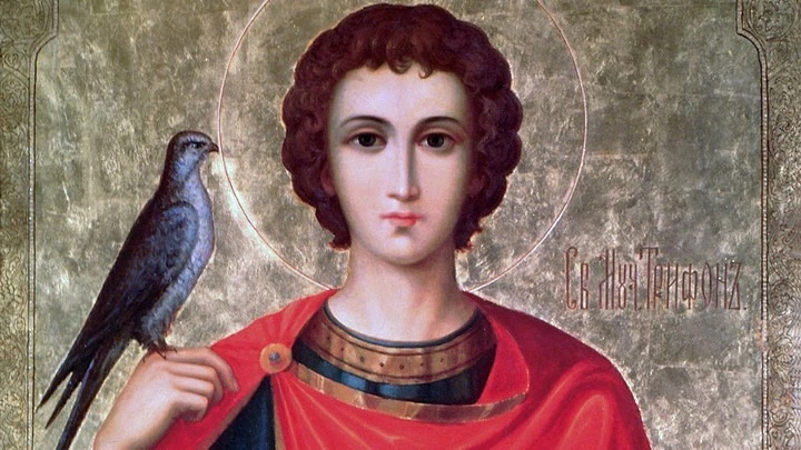 Святой сокольник-чудотворец. Память мученика Трифона. Православный календарь на 14 февраля