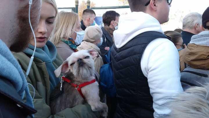 На несанкционированную акцию 21 апреля в Екатеринбурге вышли около 2,5 тысяч человек
