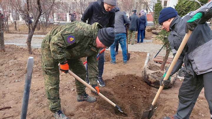 100 елей, яблонь и сакур высадили на аллее Горького в Чите 15 октября 2022 г.