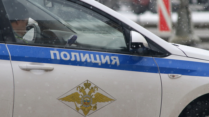 Под Петербургом в разных районах нашли человеческие останки