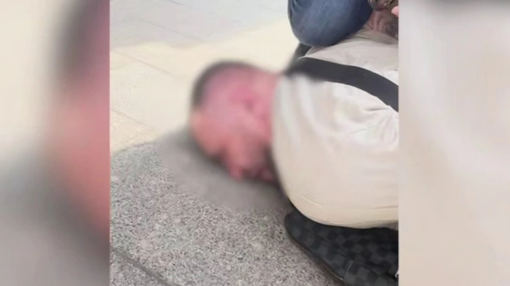 В порту Петербурга нашли 500 кг кокаина в тушках тунца: Что известно о владельце груза