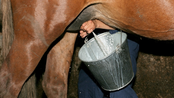 Платят больше, чем в офисе, но молодые не идут: Предприниматель назвал непрестижные профессии
