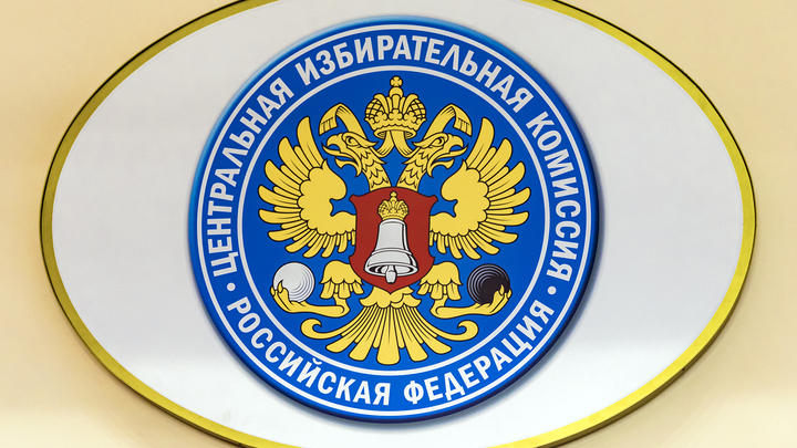 ЦИК утвердит еще два вопроса для референдума о пенсионной реформе