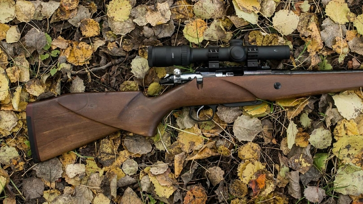 Лосей душили-душили: Мемы о Рашкине оказались трагичнее его уголовного дела