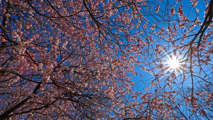 Миллион на миллион: Синоптики назвали дату прихода тёплой и солнечной весны