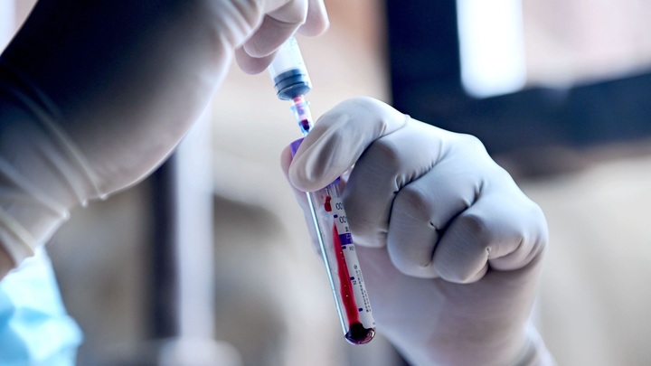 Можно выдохнуть: Заразная лихорадка Денге не попала в Россию из Шри-Ланки