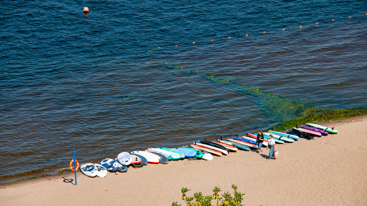 Школьники из Самары отдыхали летом на Черном море, в лагерях и не только