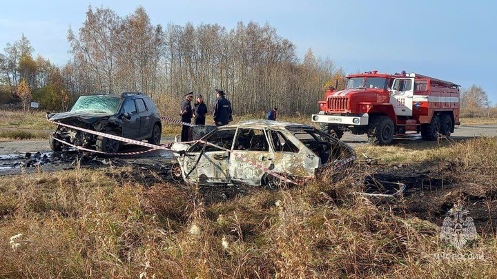 Выжили не все: в Челябинской области во время ДТП сгорел автомобиль