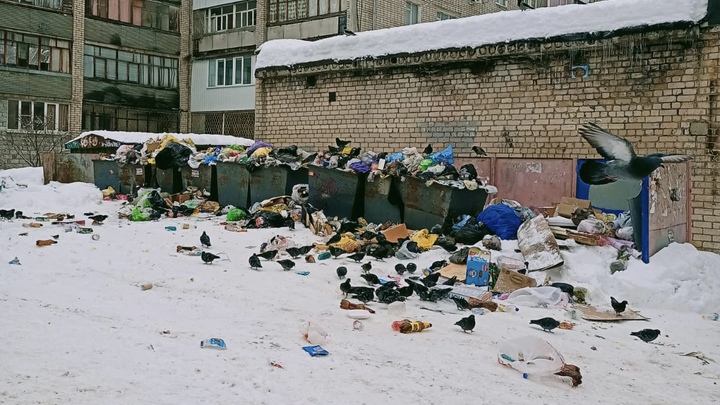 Хорошему регоператору снег мешает: жители Самары жалуются на горы мусора во дворах