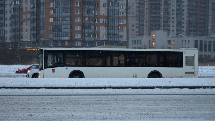 В Коврове в 2024 году на линии выйдут 16 новых автобусов