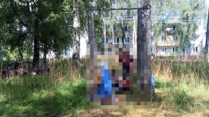 Мальчик погиб на верёвочных качелях в Тверской области