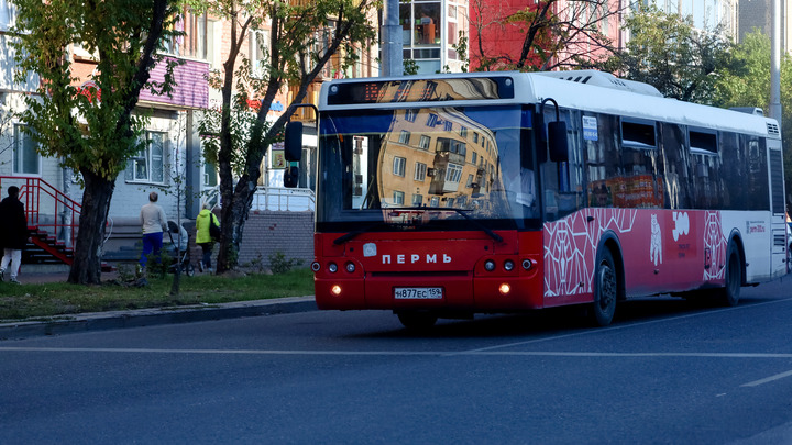 В Перми изменилась схема движения транспорта