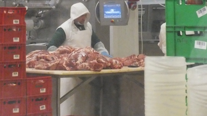 В Ростове закрыли мясной цех из-за антисанитарии, где готовили мясо для школ и детских садов
