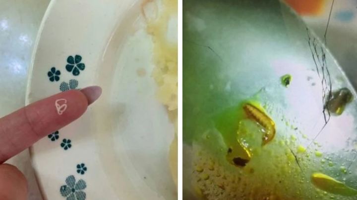 В одном из лагерей Анапы детей кормили едой с червями