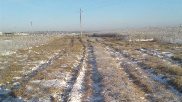 Власти Кургана рассказали, зачем выкашивают камыш