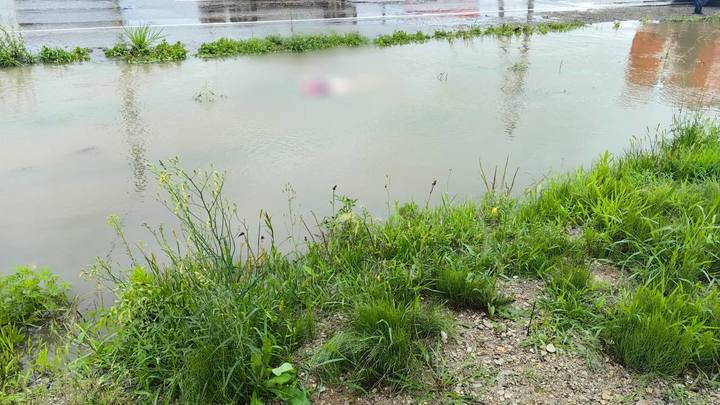 Труп женщины в луже в Уссурийске нашли без признаков насилия