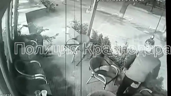 Краснодарец похитил хвойные деревья и кусты прямо из клумбы