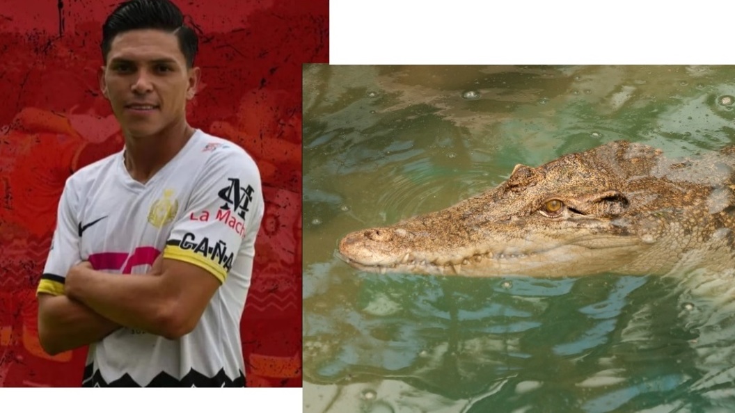 Игрок поедающий сталь 35. Коста Рика крокодил съел футболиста. Игрок Коста Рики крокодил. Футболисты.