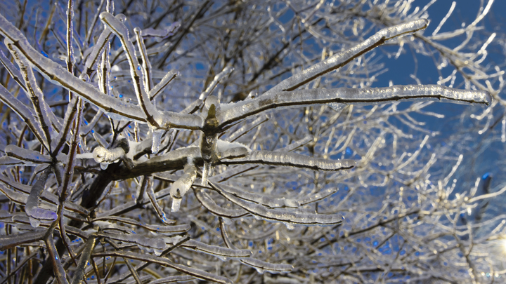 Такого предвидеть нельзя: Синоптики предупредили о самой большой опасности грядущей зимы