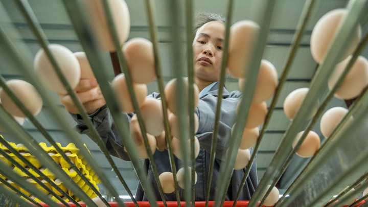 Подсказка от врача: Дорогой коллаген можно получить из трёх простых продуктов