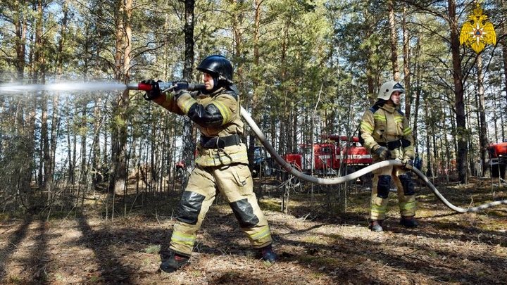 На юге Петербурга горят поля: люди жалуются на едкий дым