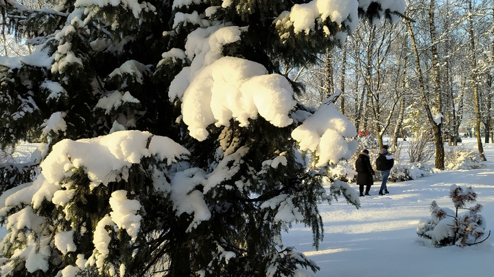 Мороз до -16 градусов вернётся в Нижегородскую область в выходные