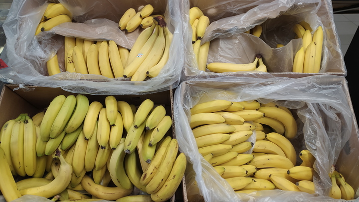 Россия ввязалась в ещё одну войну. Теперь банановую. Эквадор совершил непростительную ошибку