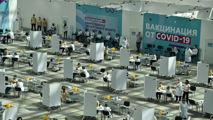 Один шаг до расстрела: Шафран об инициативах против непривитых