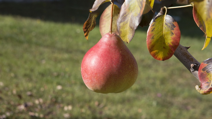 Врач рассказала о своей профилактике рака: Нужны три продукта