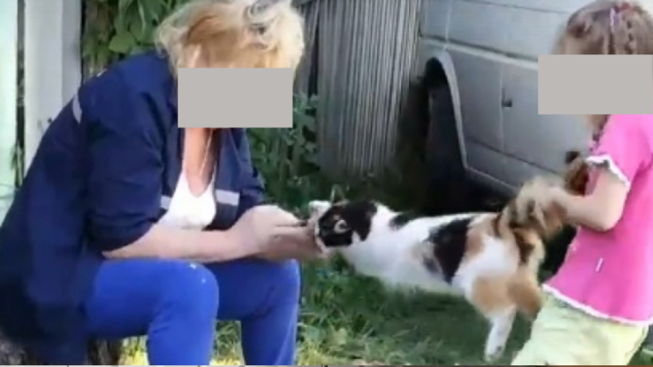 Тянут-потянут… Бабушку, внучку и кошку проверит полиция