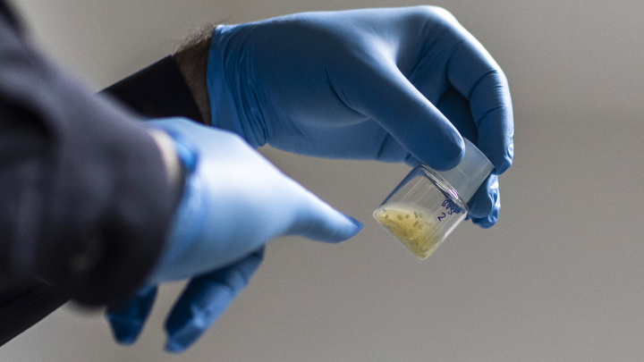 Испытания наркотических анальгетиков на Украине: Стало известно о заказе Запада