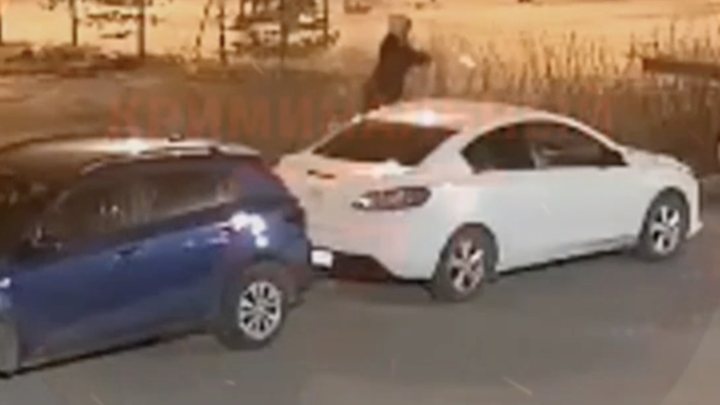 Это был поджог! Пироман из Паркового попал на камеру