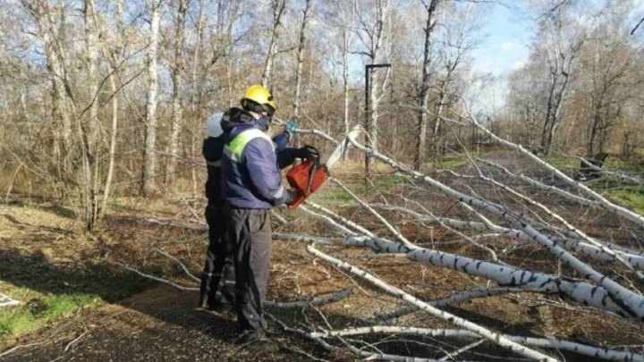 В Кемерове устраняют последствия разрушительного ветра