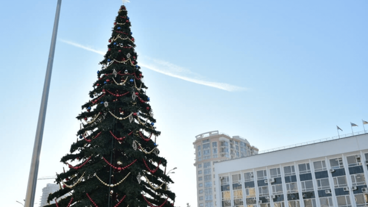 Ёлка к Новому году на Главной городской площади понравилась 63% жителей Краснодара