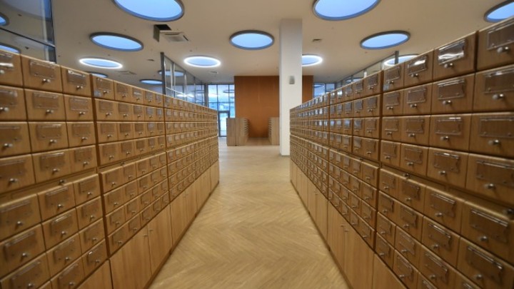 Эскортницы в разведке: Киев использовал девушек лёгкого поведения для диверсий