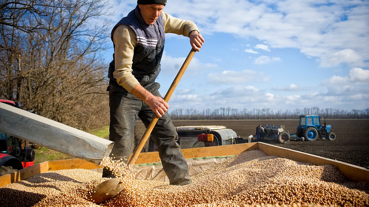В Краснодарском крае хотят кредитовать фермеров под залог собранного урожая