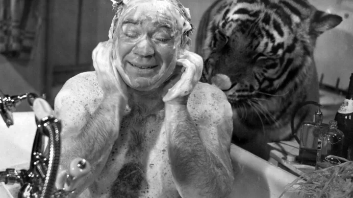 Полосатый рейс. Как снимали фильм? Забавные моменты и страхи актёров