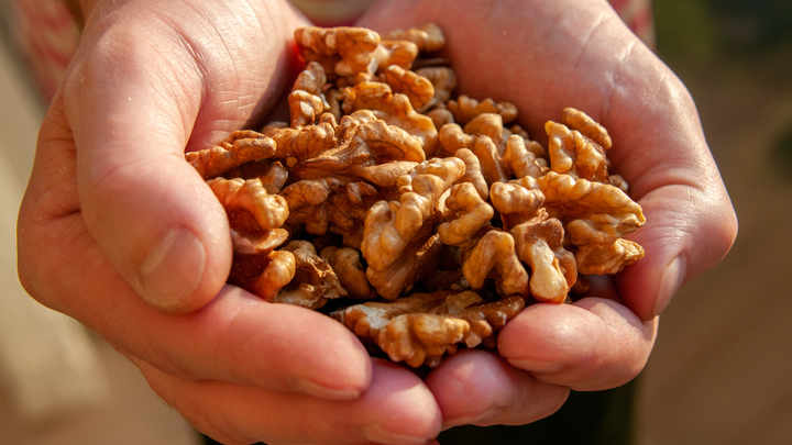 В преддверии ЕГЭ. Врач рассказала, какие продукты улучшат работу мозга